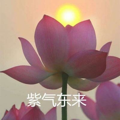 神武天下手游官方版下载